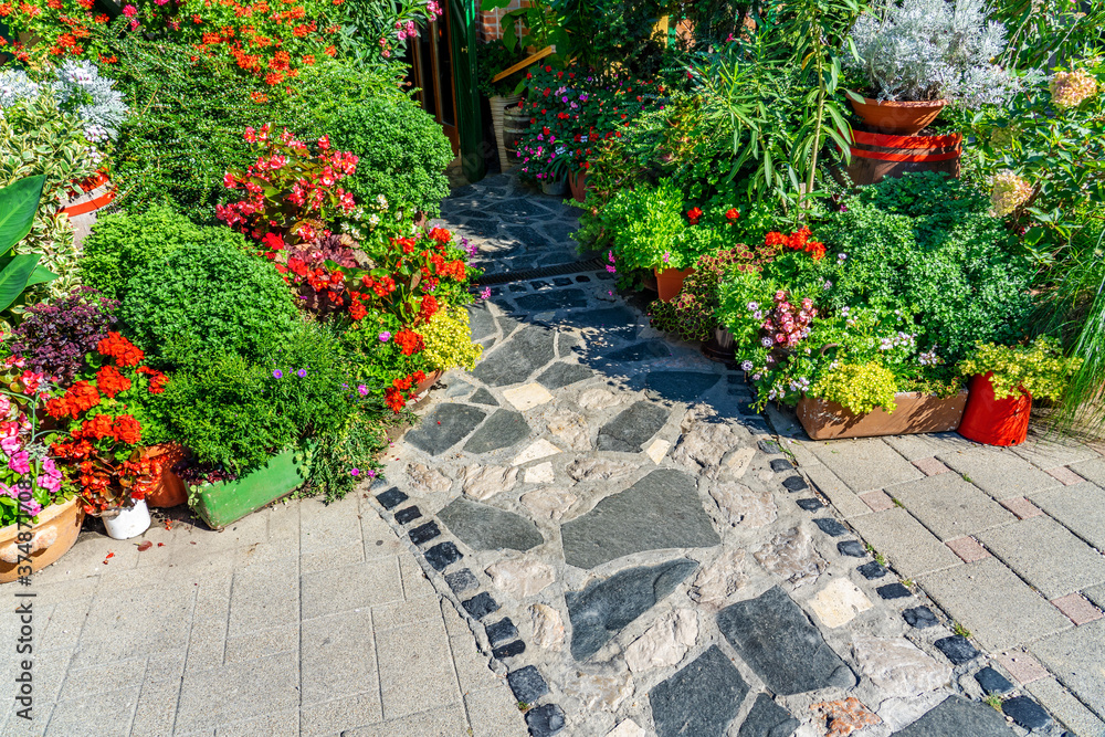 Obraz premium colorful flower composition with a stone pathway to it gardening concept