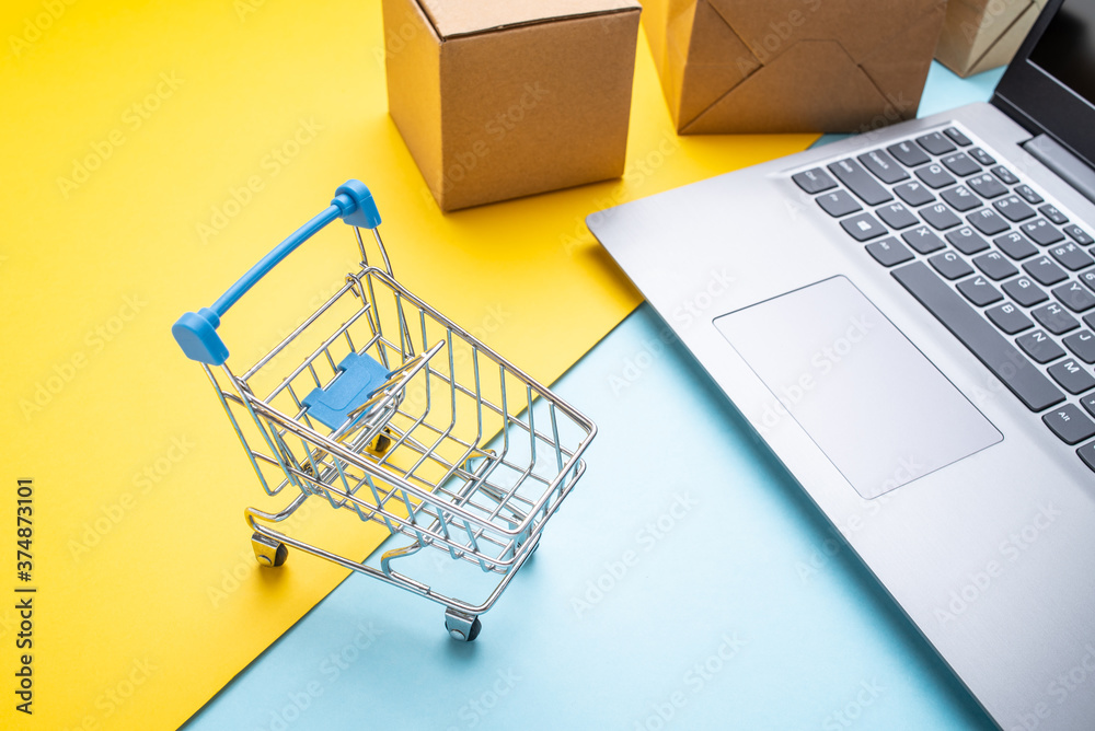 Shopping cart and express box online shopping concept illustration