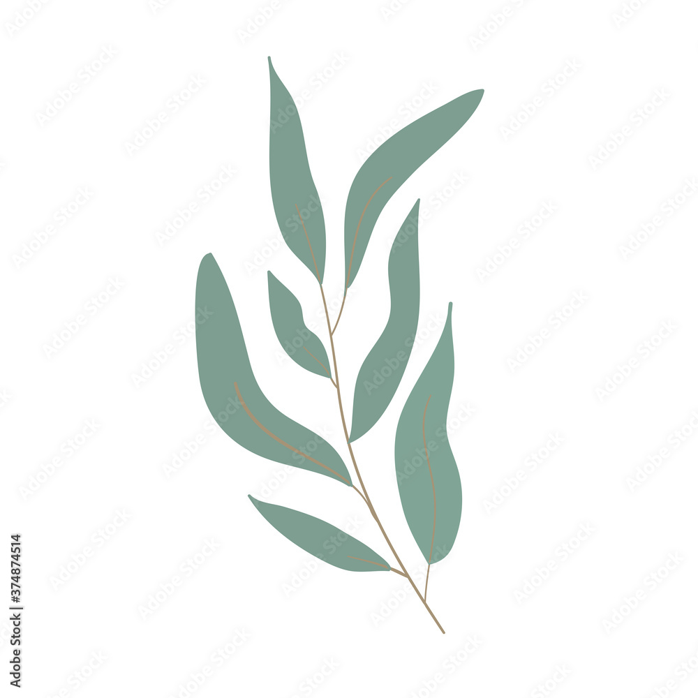 Eucalyptus greenery, natural leaves & branches designer art tropical elements. Hand drawn in watercolor style. Vector decorative beautiful elegant illustration.