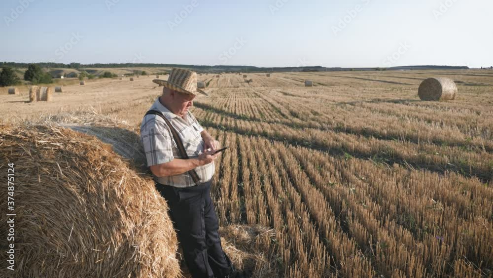 Old farmer uses tablet in the field next to haystack at sunset. Smart farming, using modern technologies in agriculture. Old farmer uses tablet in the field next to haystack at sunset. Smart farming, using modern technologies in agriculture.