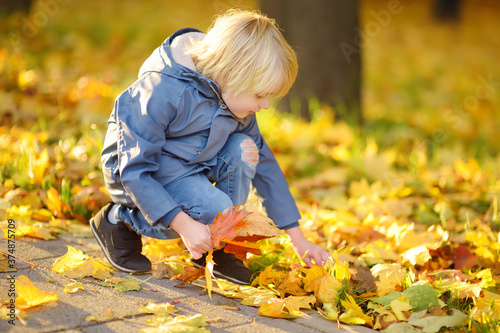 Fotografija Little boy having fun during stroll in park at sunny autumn day