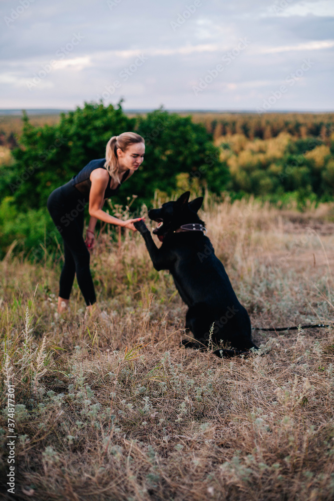 Young slender girl at sunset plays with a sheepdog