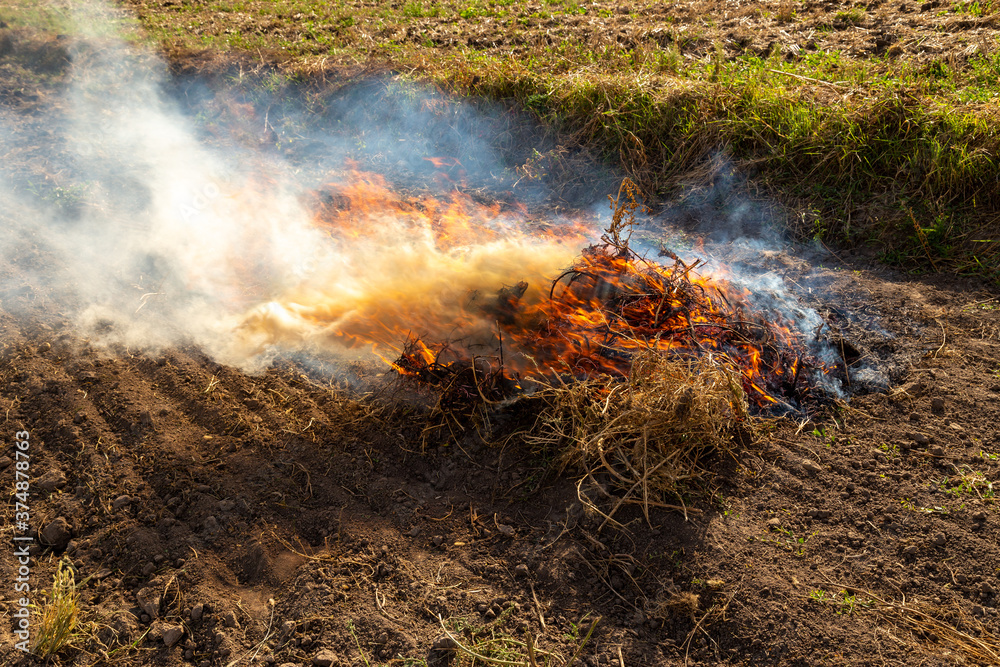 Slash-and-burn agriculture or Stubble burning. Fire being burned on an agricultural field to get rid of remnants of grass after plowing. Slash-and-burn agriculture or Stubble burning. Fire being burned on an agricultural field to get rid of remnants of grass after plowing.