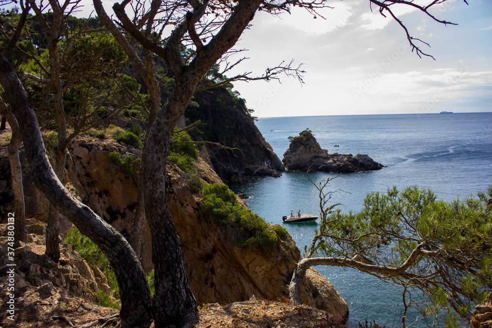 landscape from a mountain looking at the sea with trees