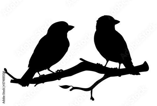 Canvas Print Realistic sparrows sitting on a branch