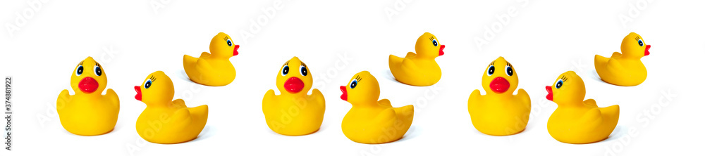 Panorama yellow rubber ducklings on a white background. Panorama yellow rubber ducklings on a white background.