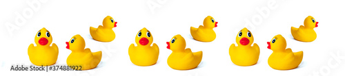 Panorama yellow rubber ducklings on a white background.
