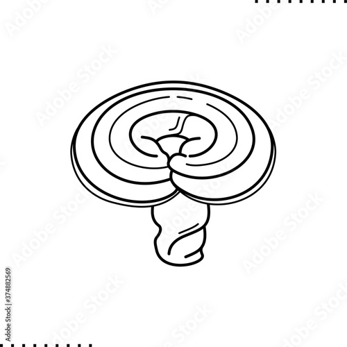 Reishi, delicious mushrooms vector icon in outline 