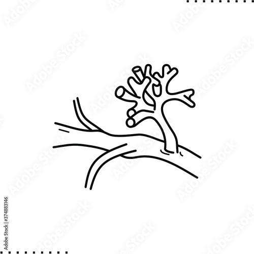 Agaricomycetes  fungi vector icon in outline