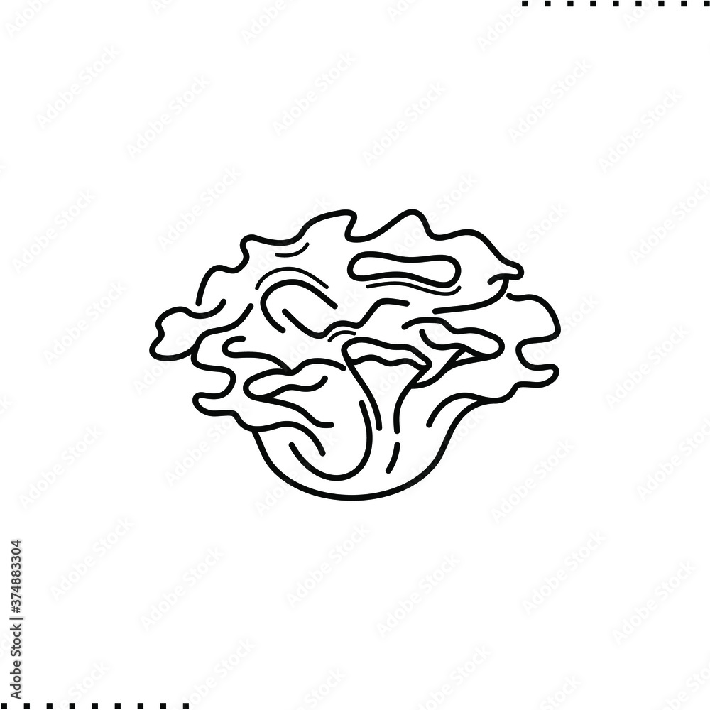 Maitake, delicious mushrooms, vector icon in outline Maitake, delicious mushrooms, vector icon in outline