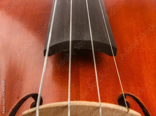 Cello. photo