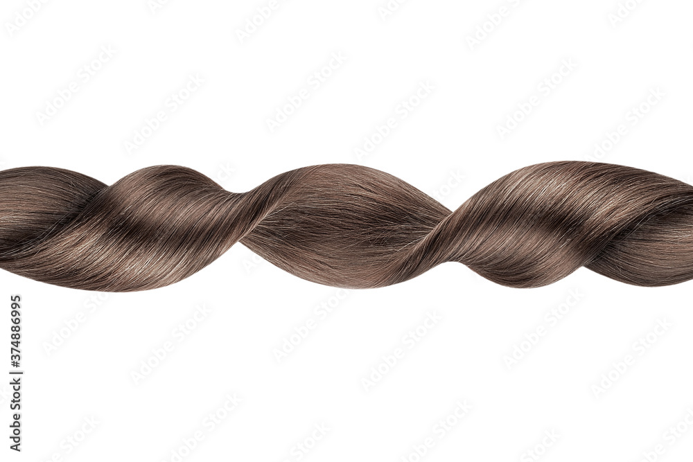 Brown hair in line shape on white background, isolated Brown hair in line shape on white background, isolated