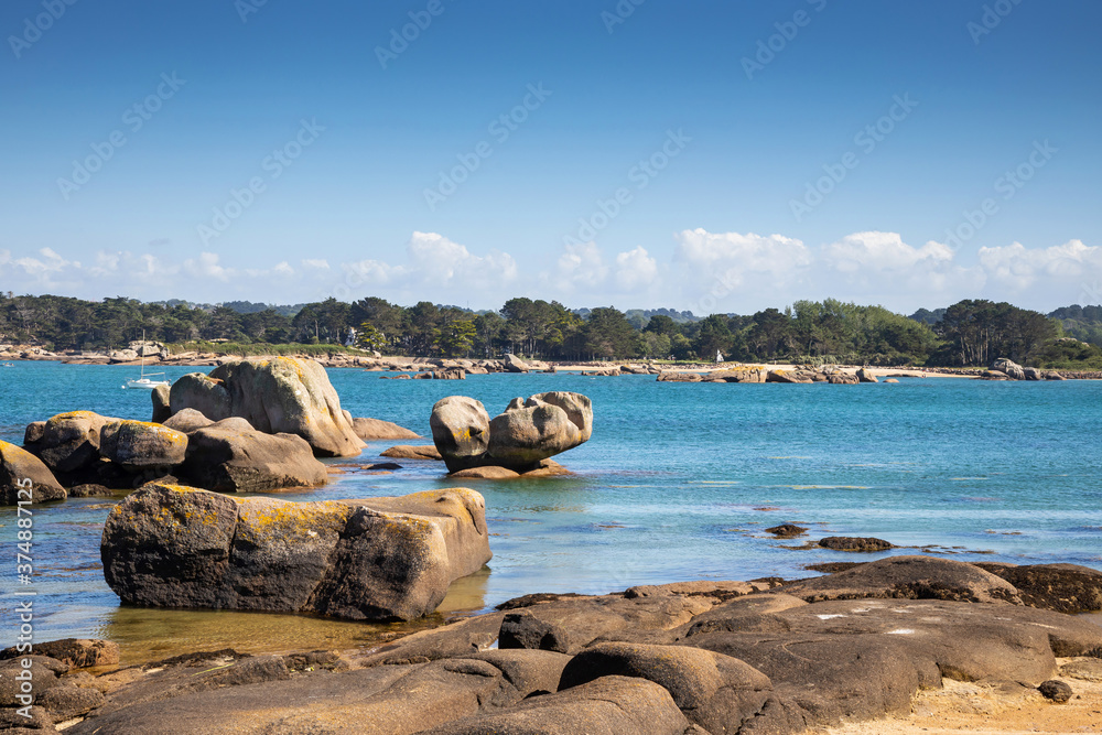 Fototapeta premium pink granite coast in Brittany