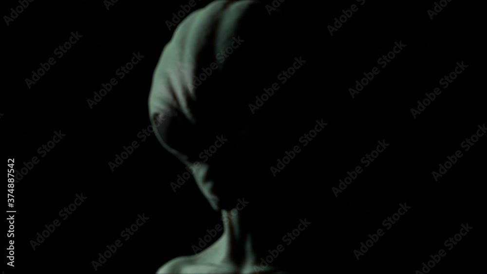 ALIEN, EXTRATERRESTRIAL REALISTIC ANIMATION ALIEN, EXTRATERRESTRIAL REALISTIC ANIMATION