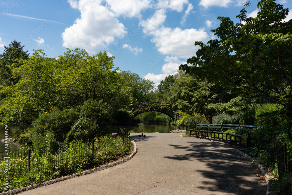 Path along the Pond with a view of the Gapstow Bridge at Central Park with Green Plants and Trees during Summer in New York City
