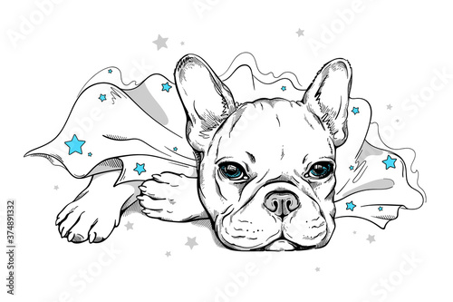 Cute french bulldog in a superhero cape. A dog in a cape with stars. Stylish image for printing on any surface