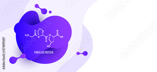 Collagen is a fibrillar protein that forms the basis of the connective tissue of the whole organism, providing its strength and elasticity.