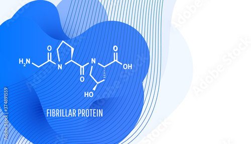 Formula of chemical structure collagen is a fibrillar protein that forms the basis of the body connective tissue