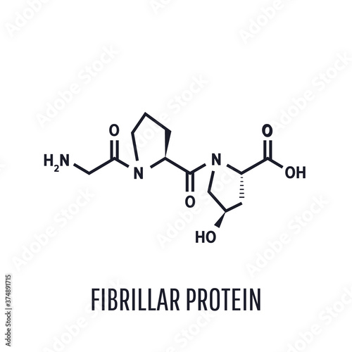 Formula of chemical structure. Collagen is a fibrillar protein that forms the basis of the connective tissue of the whole organism, photo