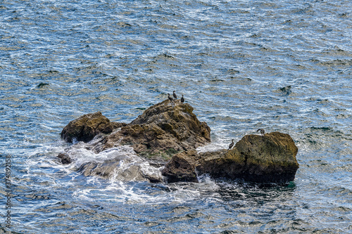 rocks in the sea and cormorants 