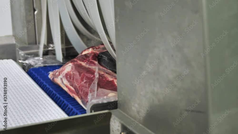 Vacuum packaging of processed meat. Packaging and freezing line Stock