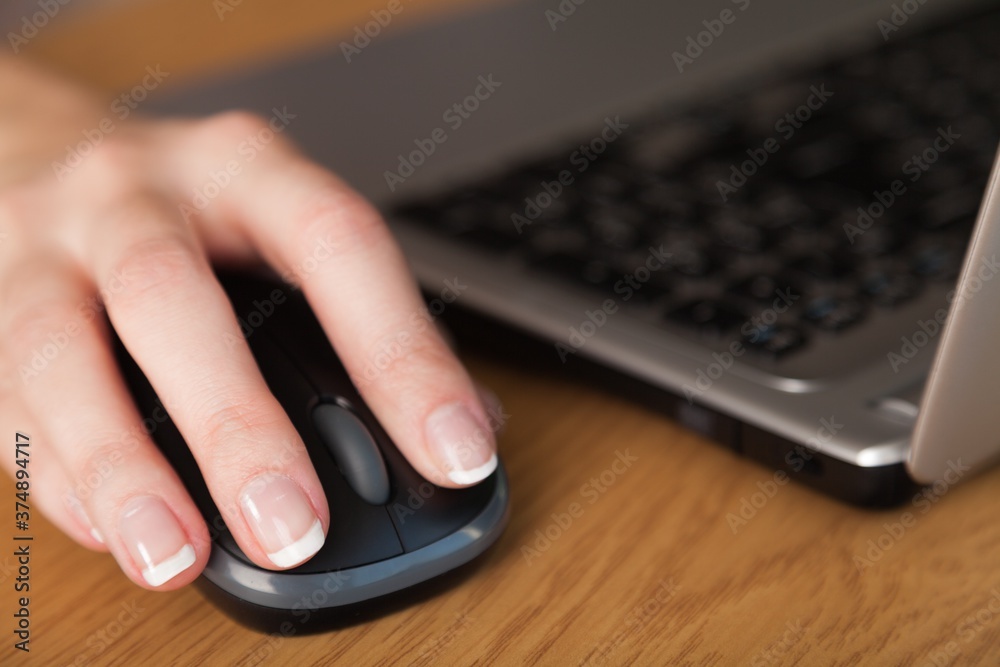 Computer mouse. Computer mouse.