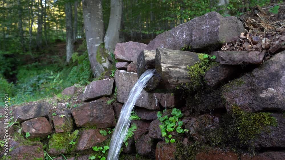Close up on spring water flowing on wooden pipe in forest in nature in summer or spring day fresh and clean for drink Close up on spring water flowing on wooden pipe in forest in nature in summer or spring day fresh and clean for drink