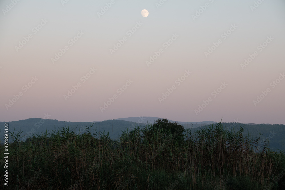 Obraz premium Meadow field with moon view.