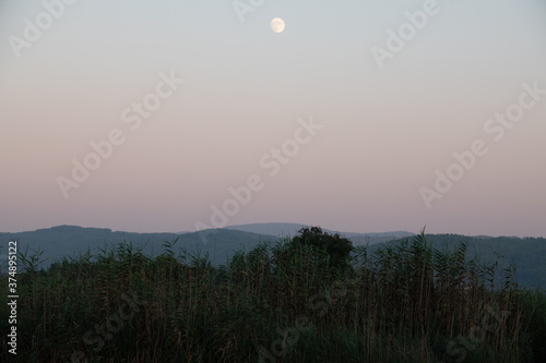 Meadow field with moon view.