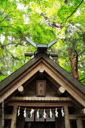 Japanese text is "Hotosan Jinja Shrine, Okumiya". "Okumiya" is  rear shrine located behind the main shrine, but dedicated to the same deity. More sacred atmosphere than main. Saitama, Japan. © dokosola