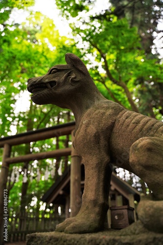 Komainu (shrine guardian dog statues) at Hotosan Jinja Shrine Okumiya at Chichibu, Saitama, Japan.  At Hotosan Jinja Shrine, It is wolf, guardian wolf statue, God's bodyguard. photo