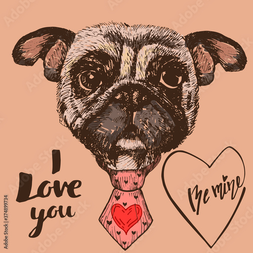 Hand drawn portrait of Pug dog with tie, with quote I love you, vector isolated elements