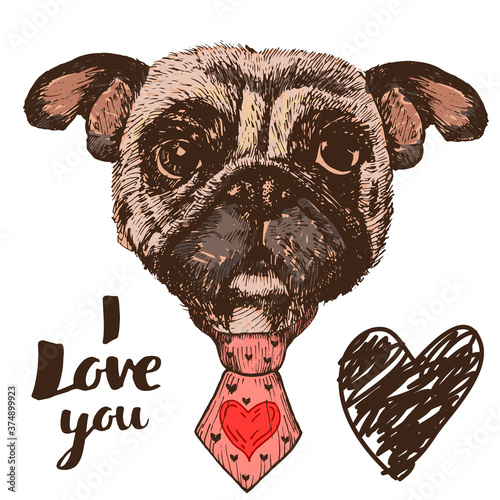 Hand drawn portrait of Pug dog with tie, with quote I love you, vector isolated elements