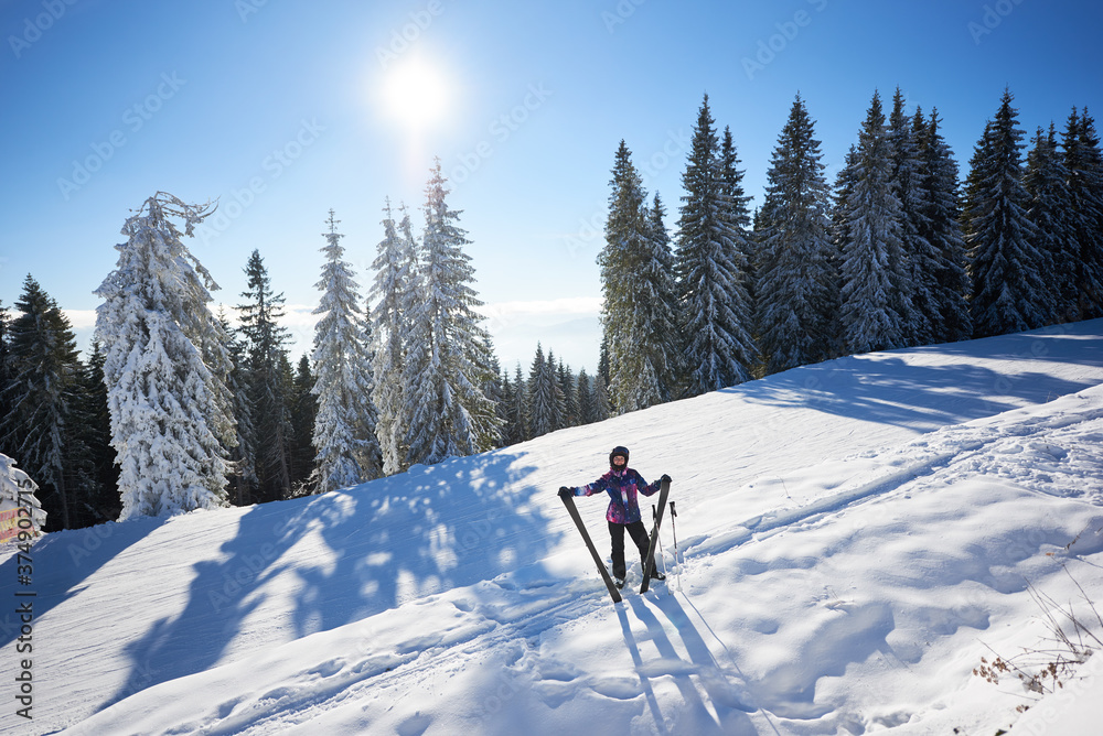 Small view of happy woman skier in helmet taking her ski in hands and standing in middle of snow-covered mountain downhill. Sun shining brightly in blue sky and pine forest on background. General view