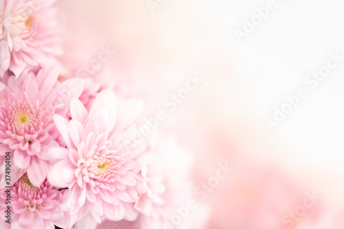 Nature of pink flower in garden using as cover page background natural flora wallpaper or template brochure landing page design © Fahkamram