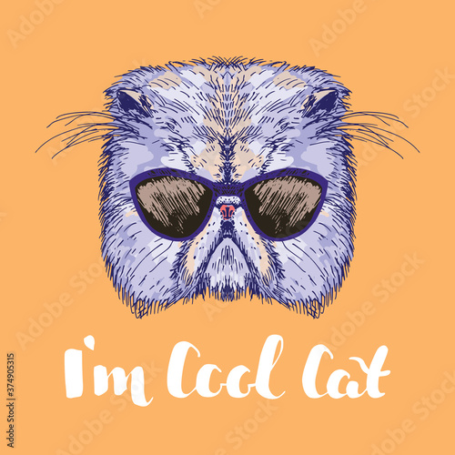 Hand drawn cat head with sunglasses and quote I'm Cool Cat, vector illustration