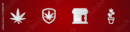 Set Marijuana or cannabis leaf, Shield and marijuana, store and plant in pot icon. Vector.