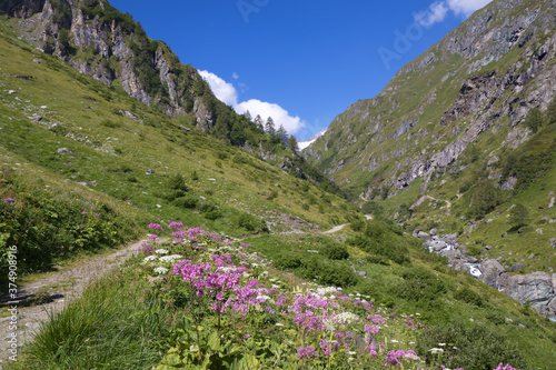 Weg zur Clarahütte im Umbaltal / Venedigergruppe / Osttirol / Österreich © carinthian