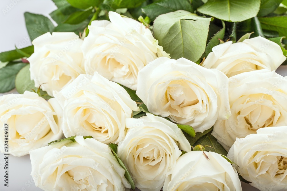Bouquet of White Roses on Grey Background