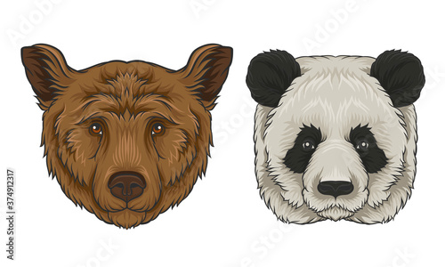 Brown Bear and Giant Panda Muzzle with Fur Vector Set