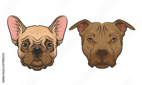Bulldog and Pit Bull Terrier Muzzle with Fur Vector Set