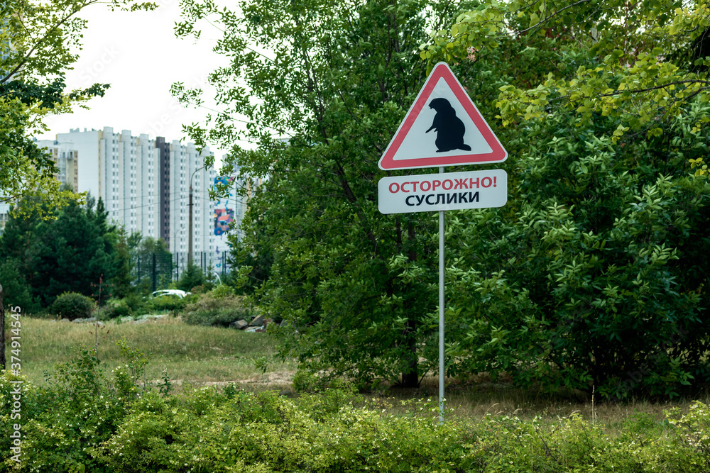 Unusual road sign against the background of trees and buildings.