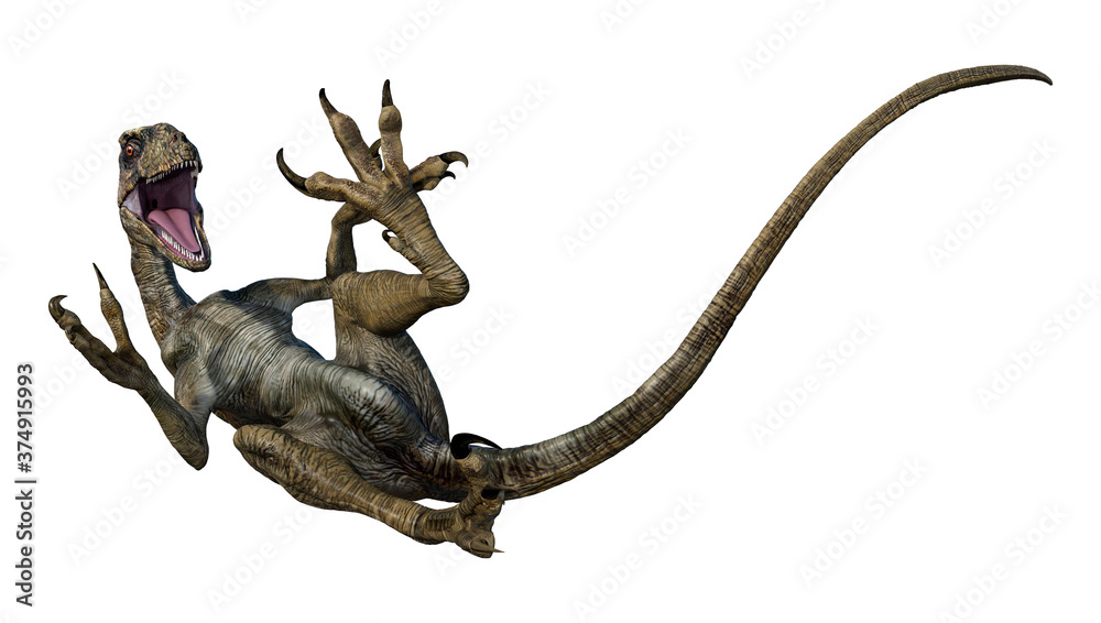 Obraz premium 3D Rendering Dinosaur Deinonychus on White