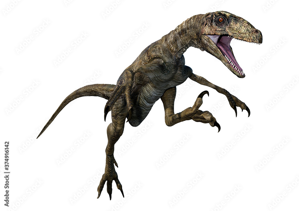 Fototapeta premium 3D Rendering Dinosaur Deinonychus on White