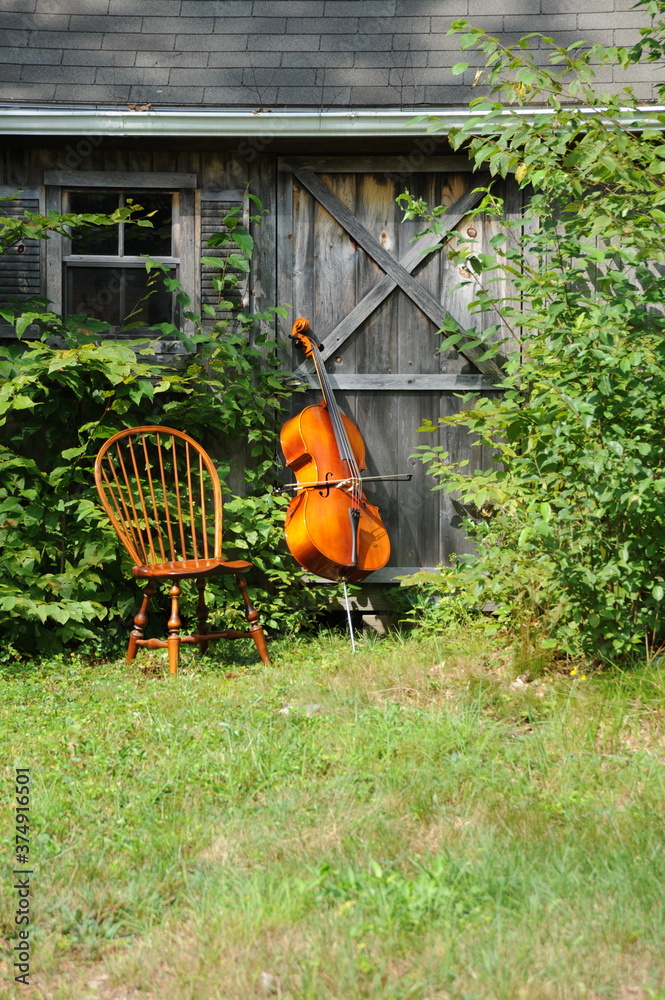 Wooden cello displayed outside.