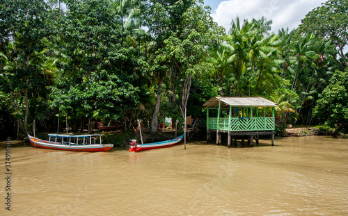 Trapiche de residência típica em casa ribeirinha na beira de um rio no norte do Brasil, na floresta amazônica. Barcos de madeira ancorados nas árvores e troncos.