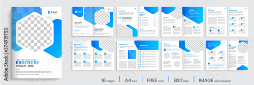 Blue gradient brochure template layout design, multipage modern company profile design.
