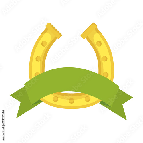 saint patrick horseshoe accessory luck and ribbon