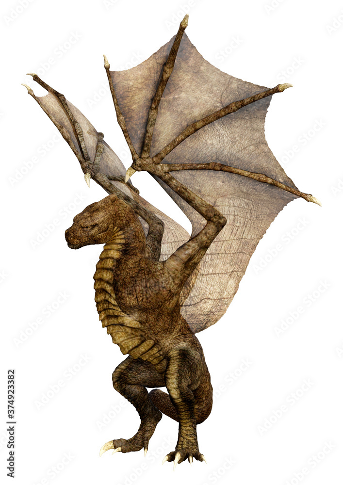 Obraz premium 3D Rendering Fairy Tale Dragon on White