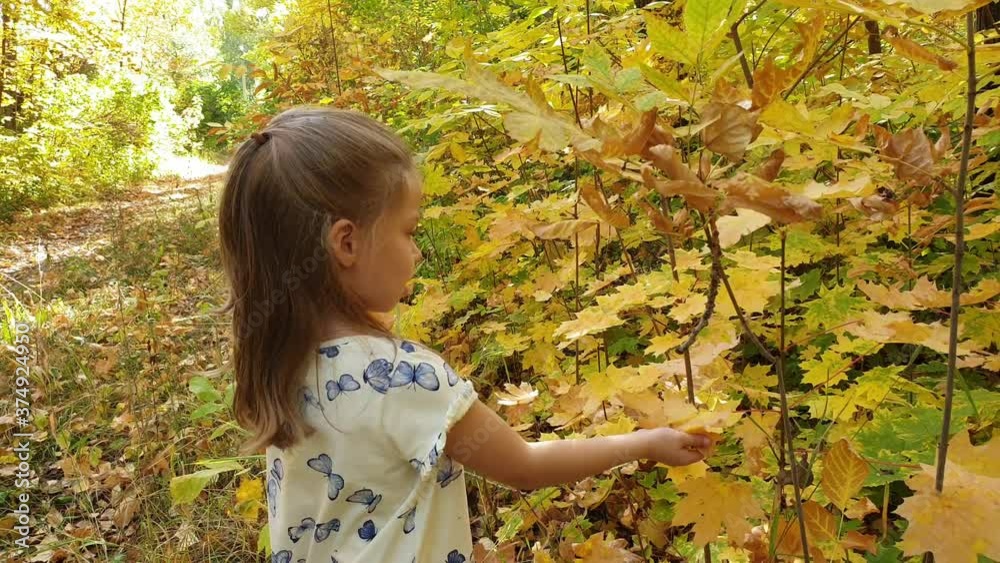 little girl playing with yellow leaves in autumn Park little girl playing with yellow leaves in autumn Park